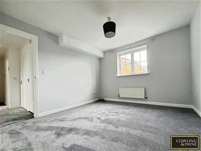 Picture 13